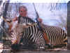 zebra.jpg (52704 bytes)